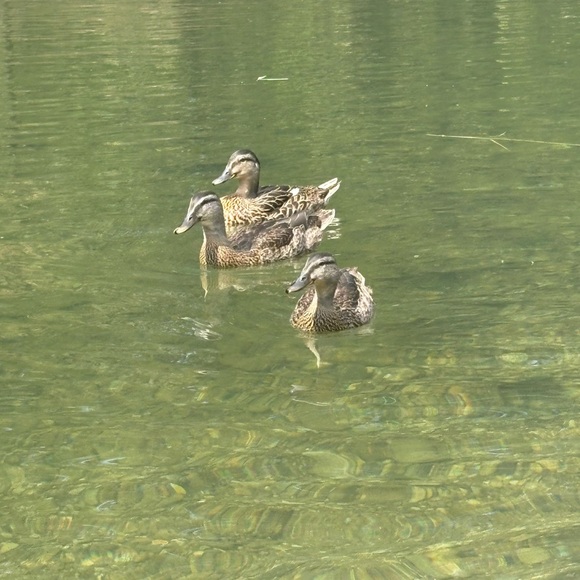 Greetings!! - Picture 10 of 10